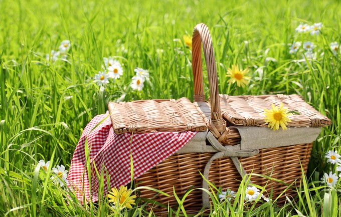Picnic basket on the grass field